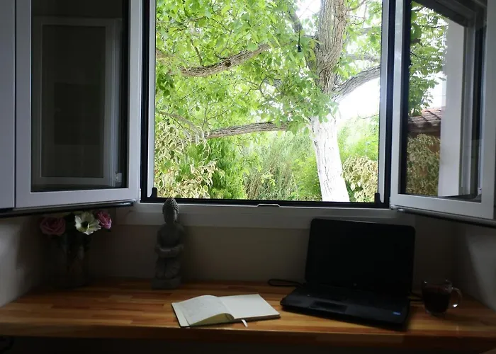 Mina\'S Serene Garden House