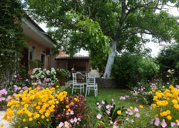 Mina\'S Serene Garden House